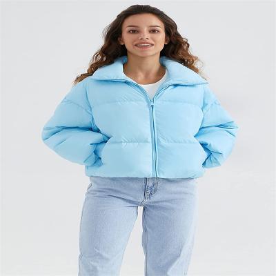 Women's Windproof Hoodie Outdoor Wear