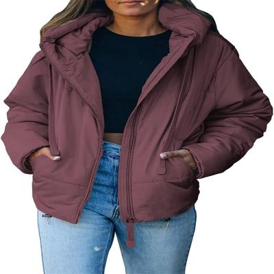 Women's Windproof Hoodie Outdoor Wear